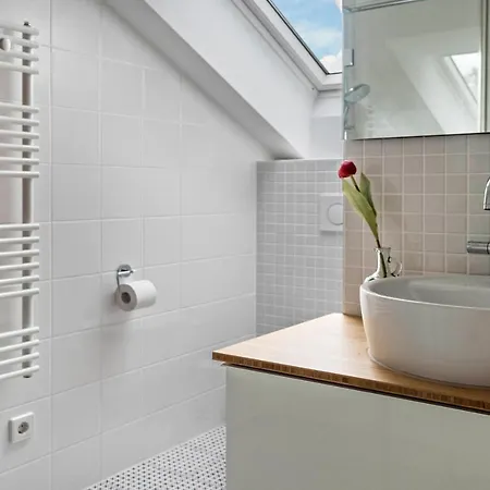 Rosenrot Am Lago de Constança